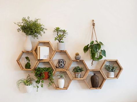 Finished Hexagon shelves with FREE center dividers - Set of 3, 5 or 8 shelves - Hexagon shelf, Honeycomb Shelf, Floating Shelf Hexagon Shelf Decor, Honeycomb Shelf, Hexagon Shelf, Hexagon Wall, Honeycomb Shelves, Geometric Shelves, Shelf Floating, Wood Putty, Hexagon Shelves