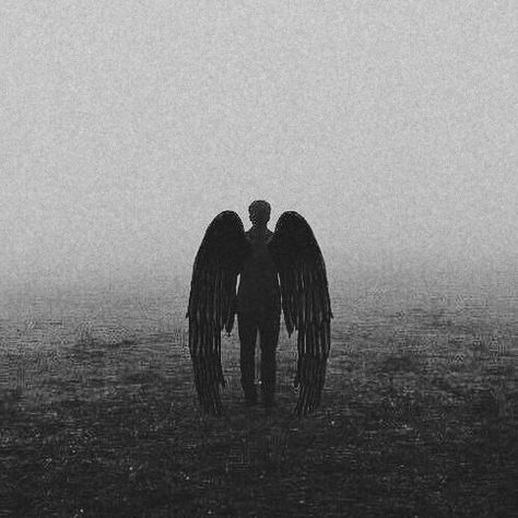 Half Angel Half Demon Aesthetic, Fallen Angel Aesthetic Male, Dark Wings Aesthetic, Black Angel Aesthetic, Male Angel Aesthetic, Guy With Wings, Black Winged Angel, Demon Aestethic Male, Men With Wings