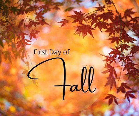 Happy 1st Day Of Fall, Goodbye Summer Hello Fall, 1st Day Of Fall, First Day Of Fall, Goodbye Summer, 1st Day, House Bed, To Say Goodbye, Hello Fall