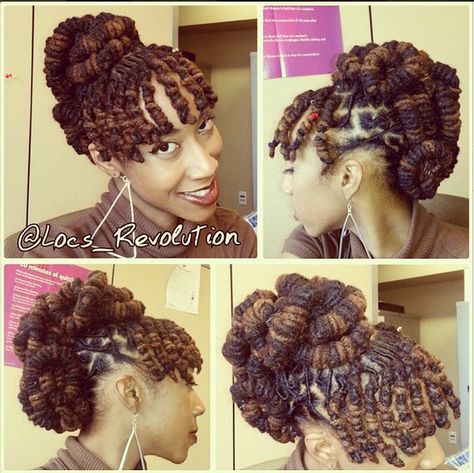 Protective Style Braids, Women Haircut, Barrel Roll, Beautiful Dreadlocks, Dreadlock Styles, Dreads Styles, Black Curly, 2015 Hairstyles, Black Curly Hair