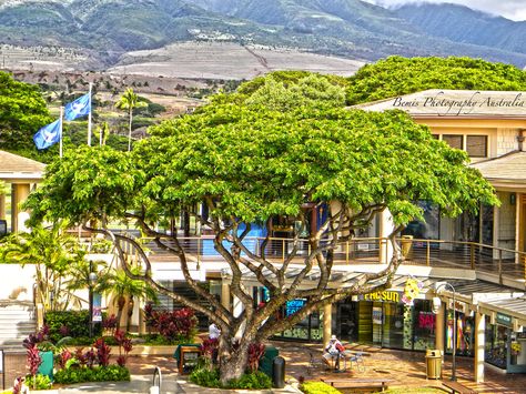 Whalers Village Maui, Hawaii. LOVE THIS PLACEEEE!!!!!!!!!!!!!!! Whalers Village Maui, Maui Whalers Village, Kaanapali Maui, Maui Honeymoon, Shopping Village, Hawaii Islands, Vacation Hawaii, Trip To Maui, Hawaii Maui