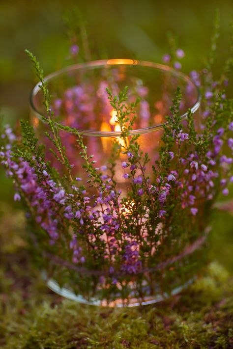 fairylight | Promura 135/3.5 | Olliloo | Flickr Green Fall Weddings, Candle Light Wedding, Purple Fall Wedding, Fall Wedding Venues, Purple And Green Wedding, Candle Lite, Fairy Garden Plants, Purple Wedding Bouquets, Purple Party