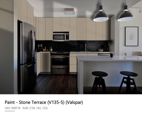 Stone Terrace (V135-5) Hex Color Code: #9E8F7B Sherwin Williams Roycroft Bronze Green, Roycroft Bronze Green, Dark Medium Hair, Black Color Meaning, Green Kitchen Cabinet, Energy Colors, Munsell Color System, Paint Color Codes, Muted Brown