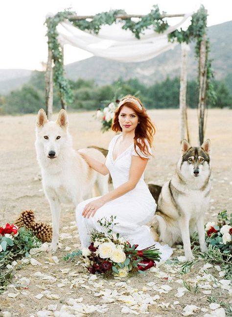 Photo Rustic Winter Wedding Ideas, Wolf Wedding, Dog Wedding Outfits, Winter Wedding Ideas, Alaska Wedding, Elegant Winter Wedding, Rustic Bride, Rustic Winter Wedding, Wedding Party Ideas