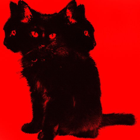 Black And Red Aesthetic, Red Pfp, Red Aesthetic Grunge, Red Icons:), Red Cat, Cat Aesthetic, Red Aesthetic, Aesthetic Grunge, Black Cats