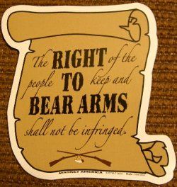 Right To Bear Arms, Shall Not Be Infringed, Bear Arms, Freedom Of Speech, Wise Words, Novelty Sign, Film, Quick Saves