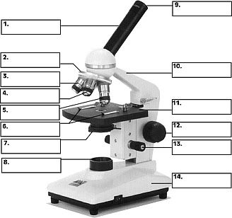 This is a game for revising the names of the parts of the microscope. When you've played it, tell me your score (% and the time) in the comm... Microscope Worksheet, Parts Of A Microscope, Microscope Activity, Study Sheet, Microscope Parts, School Works, Biology Lessons, Microscopes, Stem Science