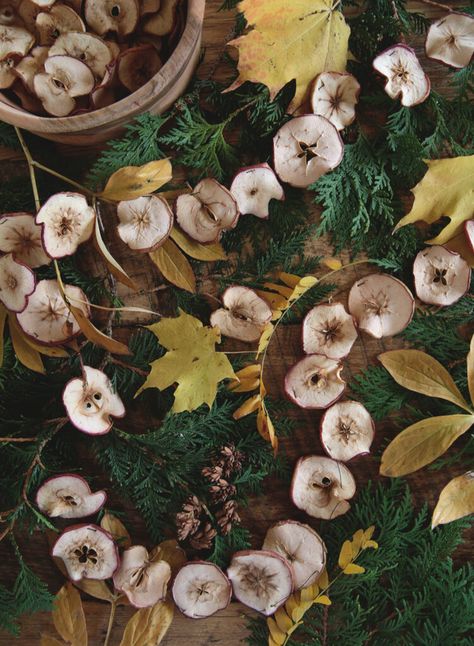 Learn how to make a dried apple garland that is perfect for a fall mantel, and looks good with Christmas greenery too! #driedapples #homedecor Dried Apple Garland Diy, Apple Garland Diy, Dried Apple Decorations, Dehydrated Fruit Garland, Dried Flower Ornament, Dried Apple Garland, Homemade Christmas Garland, Cinnamon Garland, Fall Garland Ideas