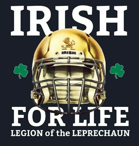 Absolutely ☘ Notre Dame Wallpaper, Notre Dame Baby, Notre Dame Apparel, Noter Dame, Michigan State Spartans Football, Go Irish, Cleveland Browns Football, Browns Football, College Football Teams