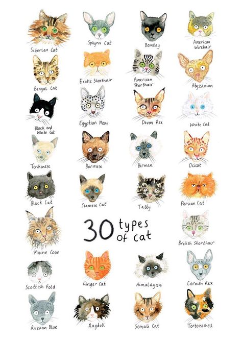 Embedded image Cats Art Drawing, Animal Nursery Theme, Cat Summer, International Cat Day, Types Of Cats, Cats Art, Beautiful Sea, Little Kittens, First Art