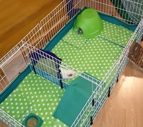 Tired of always running to the store to buy wood shavings? Don't like the messy clean up? Try making these washable fleece liners. They are comfortable and cost-effective! Diy Guinea Pig Cage, Guinea Pig Diy, C&c Cage, Airline Pet Carrier, Guinea Pig House, Guinea Pig Bedding, Pig House, Diy Sewing Tutorials, Pet Guinea Pigs