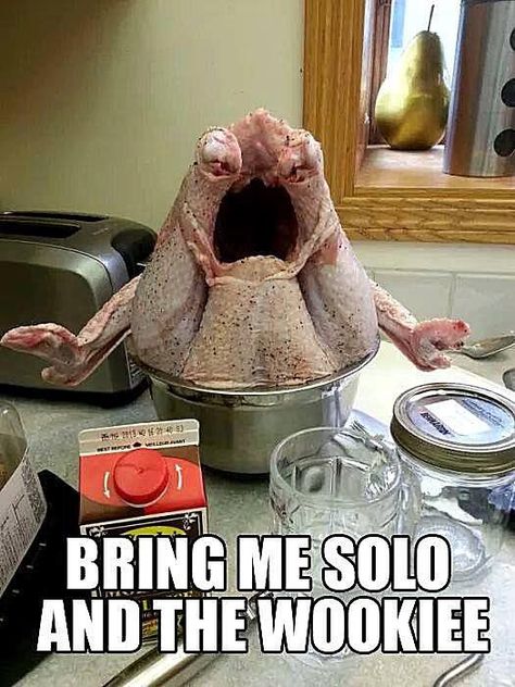 best thanksgiving memes Happy Thanksgiving Memes, Funny Thanksgiving Pictures, Funny Thanksgiving Memes, Thanksgiving Meme, Thanksgiving Quotes Funny, Thanksgiving Jokes, Happy Thanksgiving Images, Thanksgiving Pictures, Awkward Family Photos