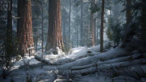 ArtStation - UE4 Redwood Forest V2 Winter Update, Willi Hammes Sequoia Forest, Forest Biome, Winter Update, Giant Sequoia, Snow Forest, Games Design, Redwood Forest, Snowy Forest, Fantasy Forest