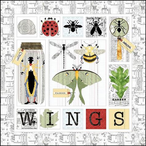 PRE-ORDER J. Wecker Frisch in the Wings Quilt Kit 65 X - Etsy The Moth, Riley Blake Fabric, Art & Craft Kit, Art Journal Techniques, Spark Creativity, Holiday Patterns, Simple Game, True Art, Applique Patterns