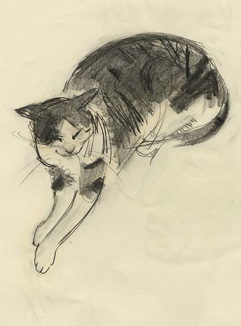 Cat Pencil Drawing, Cat Sketch, Cats Illustration, Animal Sketches, Romantic Art, Art Inspiration Painting, Ethereal Art, Cat Painting, Art Inspiration Drawing