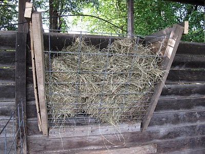 Goat Treats, Diy Hay Feeder, Homemade Goat Cheese, Natural Soap Making Recipes, Goat Feed, Goat Hay Feeder, Horse Projects, Hay Rack, Goat Soap