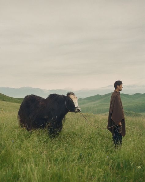 WePresent | Kin Coedel’s photos document the lives of Tibetan nomads Everyday Life Photography, A Well Traveled Woman, Global Textiles, Become A Photographer, Its Nice That, World Building, Image Makers, Tibet, Cinematography