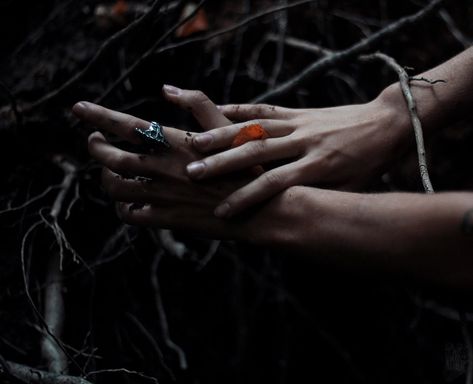 #hands #autumn #autumnsorrow #dark #palehands #branches #darkwood #natalieina Olgierd Von Everec, Rikki H2o, Dragon Shifter, Elf Rogue, Hawke Dragon Age, Half Elf, Shifter Romance, The Ancient Magus Bride, The Adventure Zone