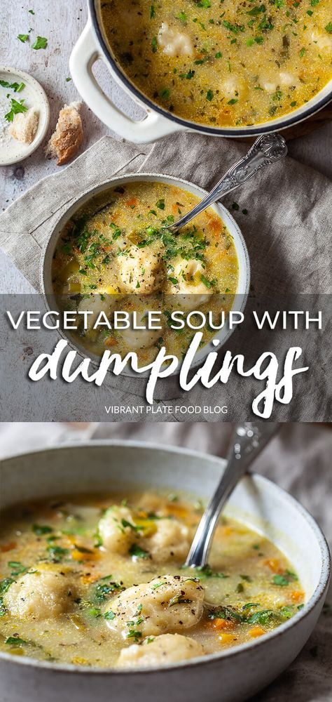 Vegetable Dumpling Soup, Soup With Dumplings, Vegetarian Dumpling, Vegan Dumplings, Vegetable Dumplings, Hearty Vegetable Soup, Soup Dumplings, Dumpling Soup, Plant Based Soups