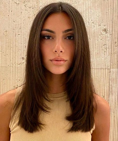 Layered Haircuts Straight Hair, Brown Hair Cuts, Brunette Hair Cuts, Kadeřnické Trendy, Brown Hair Looks, Layered Haircuts For Medium Hair, Brown Hair Inspo, Straight Hair Cuts, Vlasové Trendy