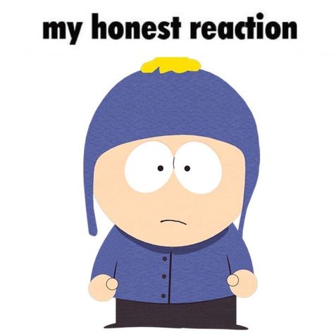 South Park Episodes, My Honest Reaction, Craig South Park, Honest Reaction, North Garden, Tweek And Craig, South Park Funny, Park Pictures, South Park Fanart