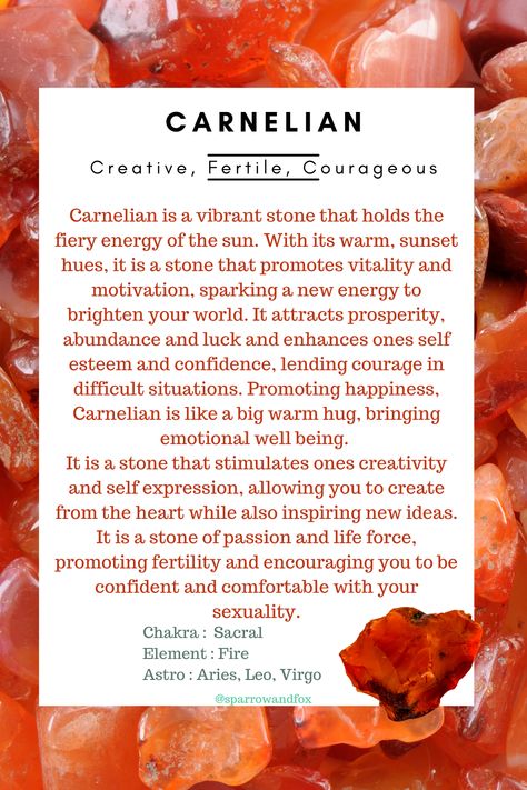 Carnelian Crystal Meaning, Magical Gemstones, Crystals Healing Grids, Healthy Habits Motivation, Sunset Hues, Warm Sunset, Rocks And Fossils, Wiccan Spell Book, Crystal Guide