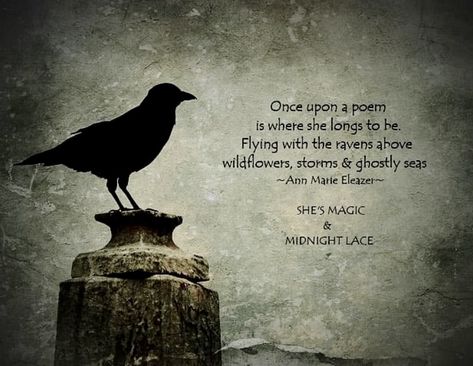 Wild Spirit Quotes, Lace Quotes, Ravens Flying, Raven Quotes, Crow Spirit Animal, Quoth The Raven, Bird Quotes, Fantasy Quotes, Darkness Falls