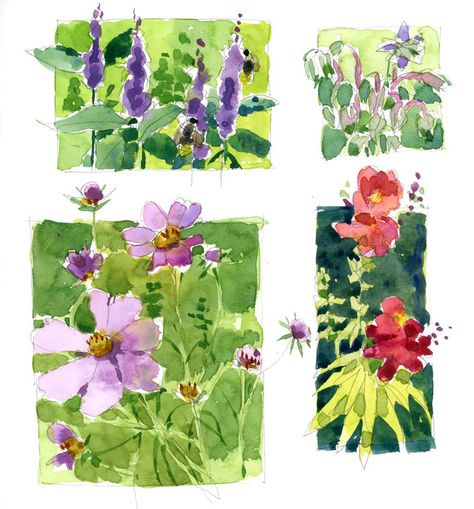 Shari Blaukopf Watercolors Paintings, Watercolor Flower Garden, Watercolor Garden Paintings, Watercolour Garden, Shari Blaukopf, Garden Sketch, Sketchbook Layout, On A Break, Nature Sketch