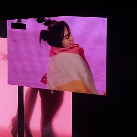 Celebs With Pride Flag, Billie Eilish With Lesbian Flag, Billie Eilish Lesbian Flag, Billie Eilish Pride Flag, Lesbian Pride Flag, Hot Mommy, Lesbian Flag, Flag Icon, Important People