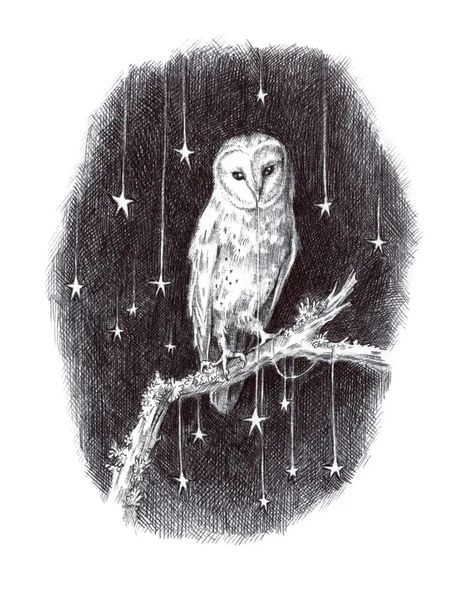 Hello again everyone 😊 Here's my piece 'Nocturne' for you. This is available now as a limited edition print, head on over for the details,… | Instagram Adam Oehlers, Owl Illustration, Winter Illustration, Vintage Bee, Owls Drawing, Vintage Owl, Owl Art, Barn Owl, Cute Owl