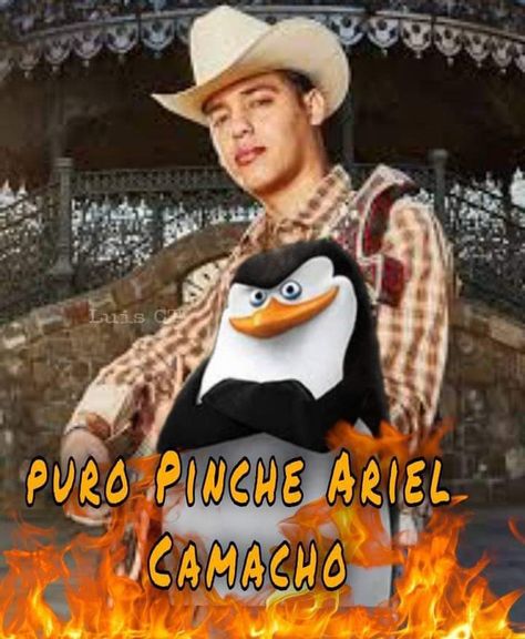 Ariel Camacho Videos, Hispanic Aesthetic, Short Celebrities, Spanish Memes, Attractive Guys, Happy Birthday Images, Funny Reaction Pictures, Music Memes, Birthday Images