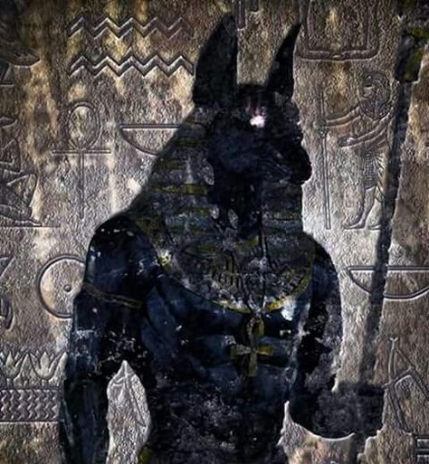 Egyptian Gods Aesthetic, Pharoah Aesthetic, Dark Egyptian Aesthetic, Anubis Pfp, Egyptian God Aesthetic, Lord Anubis, Cyno Aesthetic, Anubis Aesthetic, Moon Knight Aesthetic