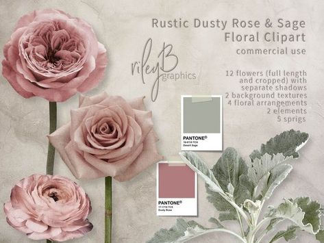 "Beautiful flowers and sprigs in shades of Dusty Rose and Sage Green. All the images have been finished with a light texture to give them a more rustic feel and you will receive full length and cropped versions of each flower as well as separate shadows. This bundle includes digital image floral clipart, background textures, as well as 4 ready made arrangements for you to use or just as ideas to create your own. The clipart can be used for Wedding Invitations, Baby Shower Invitations, Stationery Dusty Rose Flowers, Sage Green Flowers, Flower Borders, Dusty Rose Wedding, Sage Wedding, Sage Green Wedding, Theme Color, Watercolor Flower, Wedding Mood