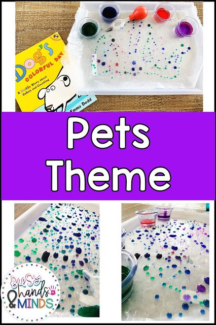 Pet Study Science Activities, Pets Science Preschool, Pet Theme Science Experiment, Preschool Pets Unit Lesson Plans, Pet Theme Preschool Activities Science, Pet Art Preschool Ideas, Pets Process Art Preschool, Pet Lessons For Preschool, Pet Unit Preschool Activities