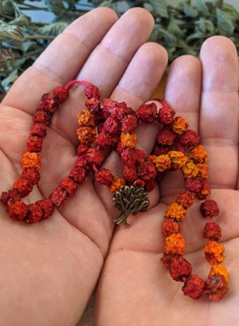 In our spare time, we make Rowan Charms from Rowan berries gathered from the woodlands and our smallholding in Boscastle.  Boscastle is a magical place and home to the Museum of Witchcraft and Magic, many people come here to experience this amazing place and the feelings of well-being and serenity they get from it.  These charms are made and dried by us so that we can share the love and peace found here with people that aren't able to travel to us.  Hung in homes, cars, or even worn as jewellery Rowan Berry, Rowan Berries, Protection Magic, Pagan Crafts, Rowan Tree, Protection Spell, Magick Spells, Love And Peace, Protection Spells