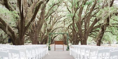 Belfair | Venue, Bluffton | Get your price estimate today! Sc Wedding Venues, Hilton Head Island Wedding, Wedding Venues South Carolina, Hilton Head Wedding, Cheap Wedding Venues, Bluffton Sc, Wedding Spot, Inexpensive Wedding Venues, Wedding Set Up