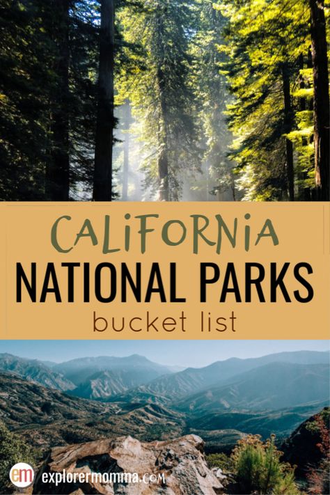 California National Parks Bucket List | Explorer Momma Redwood National Park, National Park Road Trip, Free Checklist, California National Parks, National Parks Usa, National Parks Trip, Us National Parks, North America Travel, Zion National Park