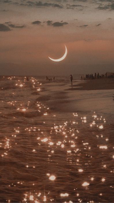 Brown Beach, Aesthetic Brown, Beach Wallpaper, Brown Aesthetic, The Moon, The Beach, Moon, Water