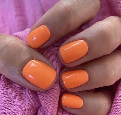 Short Gel Nails Summer Bright Orange, Dip Orange Nails, Short Gel Nails Orange, Short Neon Orange Nails, Short Nail Designs Orange, Summer Plain Nails, Spring Orange Nails, Orange Gel Nails Short, Nails Short Orange