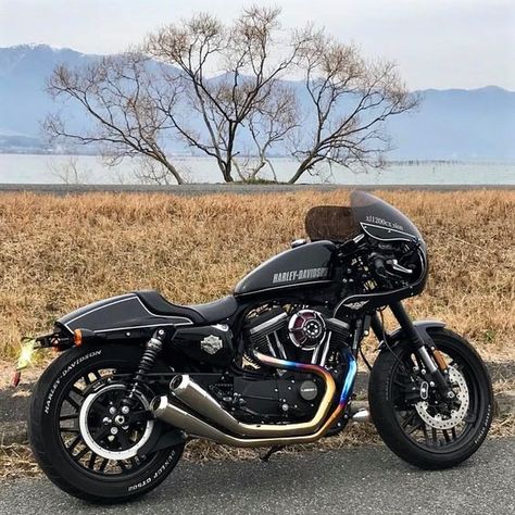 Motorcycle Essentials, Harley Roadster, Sportster Custom, Sportster Cafe Racer, Harley Davidson Scrambler, Harley Davidson Roadster, Hd Sportster, Desert Sled, Sportster Bobber