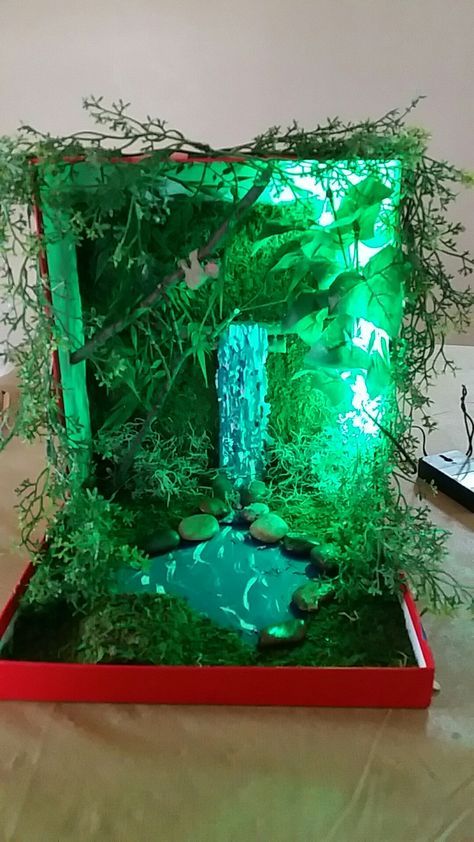 Diorama Amazon Rainforest in a shoebox Shoe Box Diorama, Shoebox Diorama, Habitat Diorama, Ocean Diorama, Rainforest Ecosystem, Rainforest Project, Biomes Project, Rainforest Biome, Diorama Kids