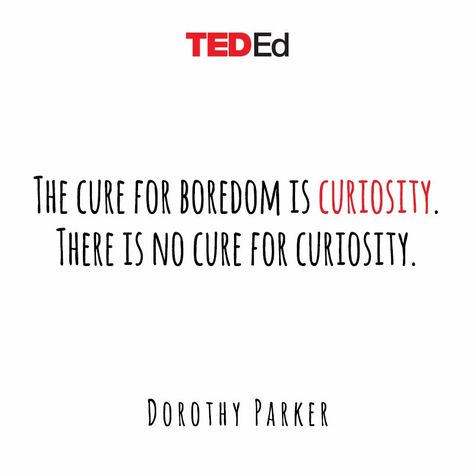 @TED_ED : No answers only better questions. https://t.co/pxLyKQPWA9 Ted Ed, Ted Quotes, Nerdy Kid, Dorothy Parker, Interesting Questions, Life Advice, Some Words, Life Lessons, Wise Words