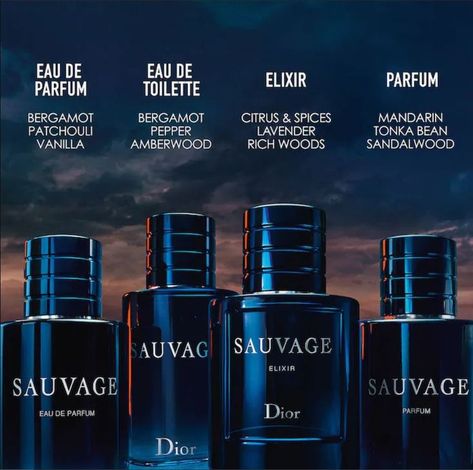 Dior Sauvage Elixir, House Of Dior, Best Perfume For Men, Dior Sauvage, Best Fragrance For Men, Pulse Points, Best Fragrances, Best Perfume, Calabria