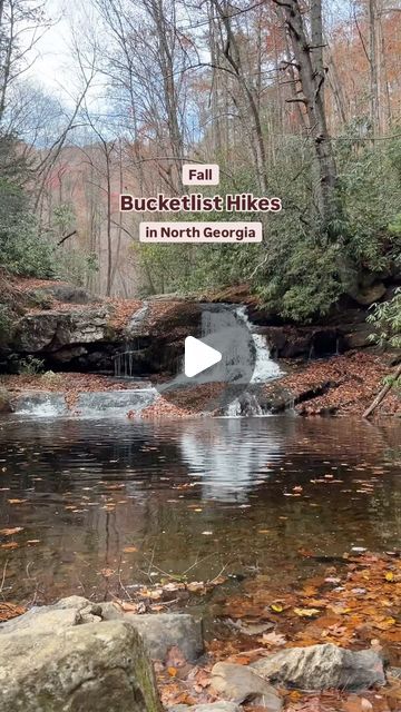 Josh | North Georgia Hiking & Adventures on Instagram: "Here are 3 North Georgia bucketlist hikes for this Fall! 

1- Hemlock Falls 
2- Yonah Mountain
3- Cowrock Mountain

#hiking #hikega #gahikes #georgia #hikinglover #hikingaddict #hikingadventures #northgeorgia #georgiatrails #northgeorgiamountains #hikingnorthgeorgia #getoutside #appalachaintrail #wandernorthga #fall #fallcolors #autumn" Georgia Hiking, Hiking Adventures, North Georgia Mountains, G Adventures, North Georgia, Mountain Hiking, Fall Colors, Bucket List, Georgia