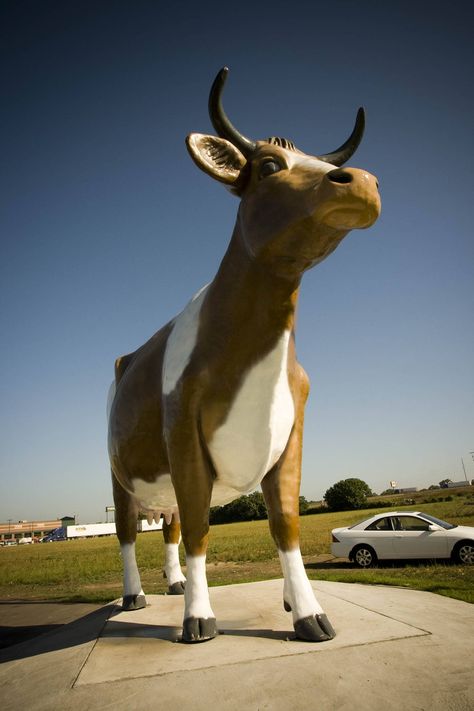 Fiberglass Bessie the Cow in Janesville, Wisconsin Mount Rushmore Road Trip, Janesville Wisconsin, Road Trip Photography, Long Weekend Trips, Vintage Homes, Mt Rushmore, Cheese Curds, Road Trip Destinations, American Road Trip