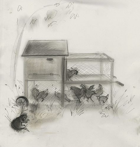 Chicken Coop 19 July 2013 - chalk and pencil drawing by Julian Williams Chicken Coop Sketch, Chicken Coop Drawing, Chicken Pen, Rabbit Drawing, Pen Sketch, Chicken Coop, Pen Drawing, Pencil Drawing, School Projects