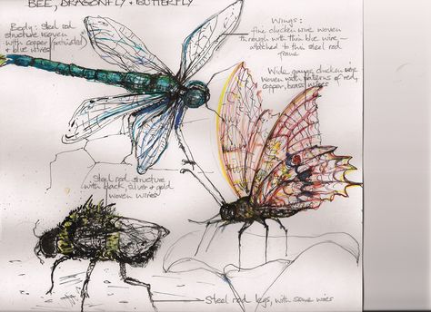 Wire Insects, Insect Project, Duncan Cameron, Insects Art, Dragonfly Drawing, Writing Images, Observational Drawing, Wire Sculptures, Bug Art