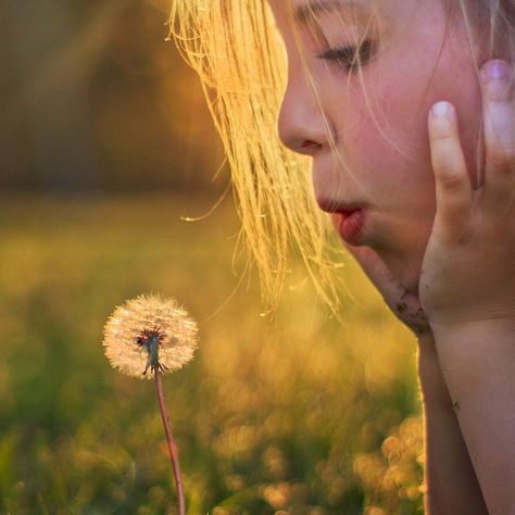 A Dandelion, Dandelion Wish, My Shoes, The Meadows, The Grass, Simple Pleasures, Make A Wish, Country Life, Wonders Of The World