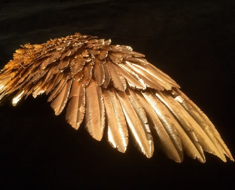 Gold Dragon Aesthetic, The Battle Of The Labyrinth, Battle Of The Labyrinth, Black And Gold Aesthetic, Metal Wings, Angel Artwork, Golden Wings, Gold Wing, Gold Feathers