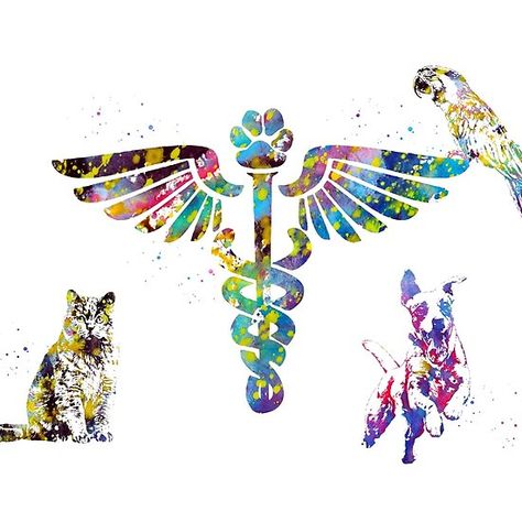 Veterinary Clinic Symbol Vet Tattoo, Veterinary Caduceus, Veterinary Art, Parrot Illustration, Med Vet, Animal Photography Wildlife, Clinic Design, Veterinary Clinic, Veterinary Medicine